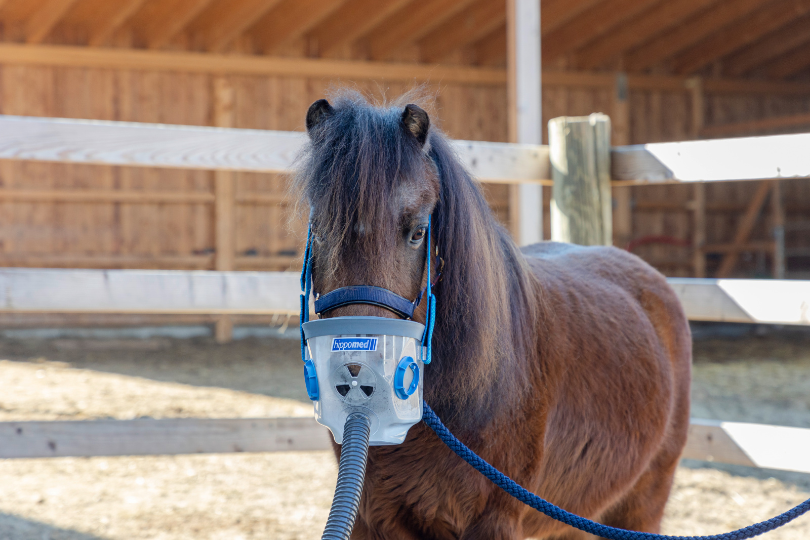Air One Strom Gr. SHETTY Hippomed Ultraschall Inhalator Komplettset mit Zubehor